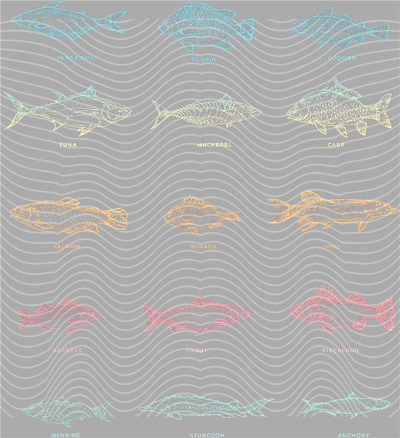 Fishing Series-DY 128